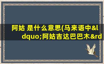 阿姑 是什么意思(马来语中“阿姑吉达巴巴木”是什么意思啊)